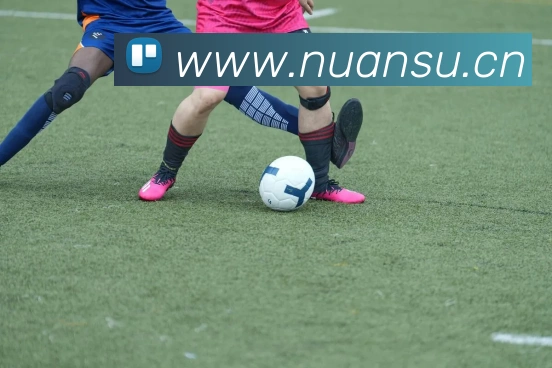 开云官方在线登陆入口平台生态图