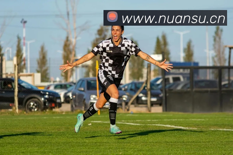 开云官方在线登陆入口APP 封面图